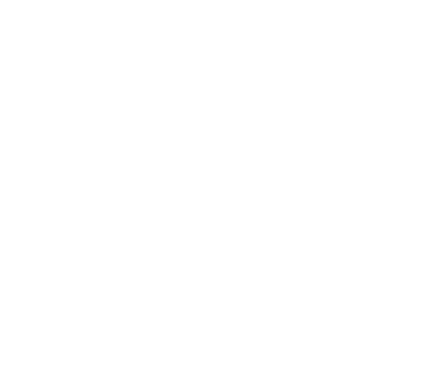 Logo_Viva_La_Fin-Productora_Audio_visual_blanco